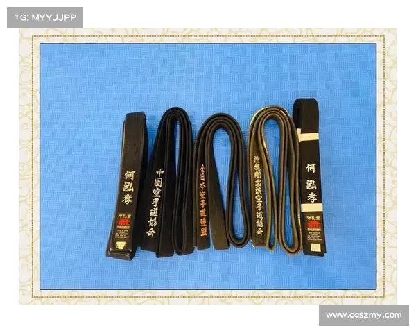 空手道形意流国际认证中心正式落户北京 开启武术文化新篇章